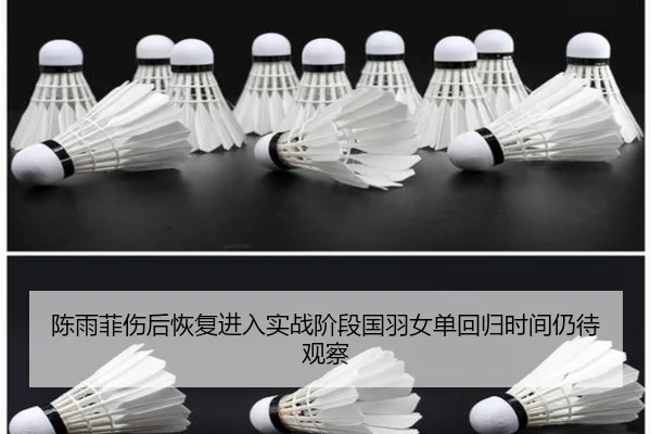 陈雨菲伤后恢复进入实战阶段国羽女单回归时间仍待观察